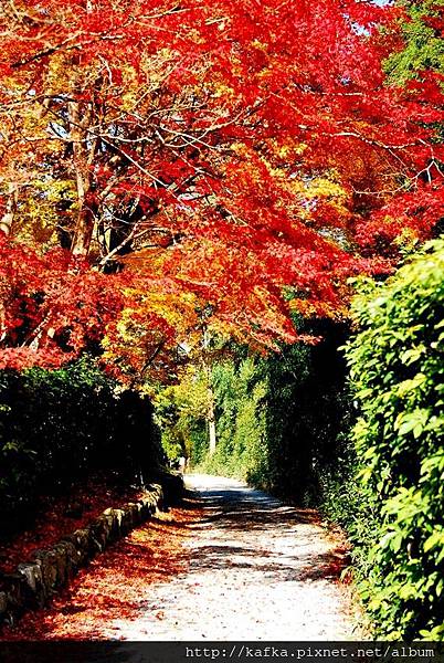 DSC_7891.JPG DSC_7891.JPG