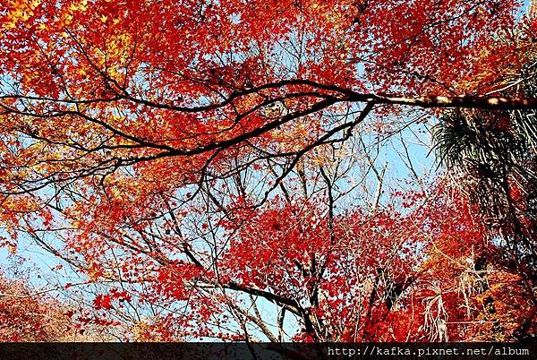 DSC_7890.JPG DSC_7890.JPG