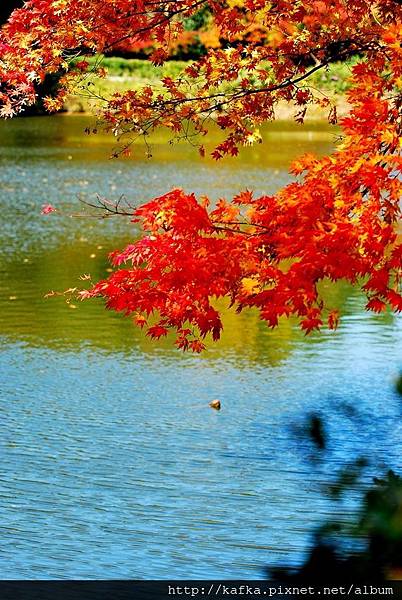 DSC_7724.JPG DSC_7724.JPG