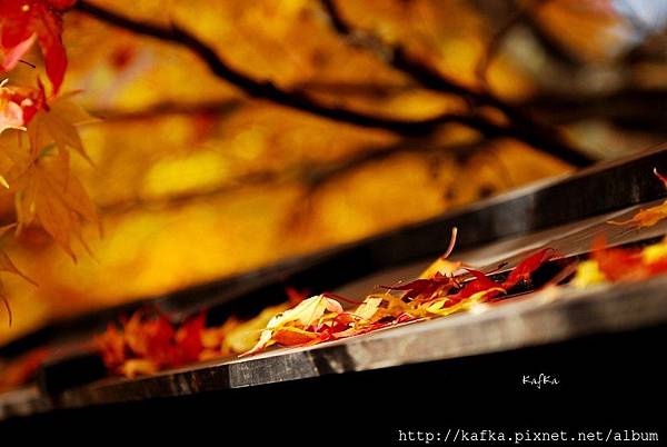 01DSC_7179.JPG 01DSC_7179.JPG