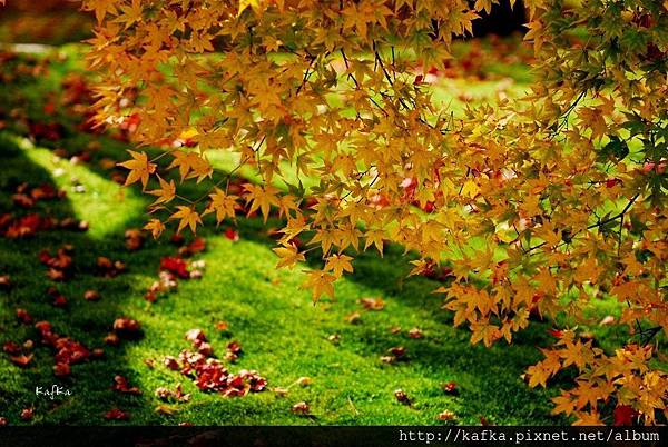 02DSC_7041.JPG 02DSC_7041.JPG