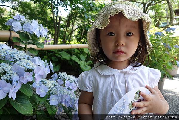 DSC06924.JPG DSC06924.JPG