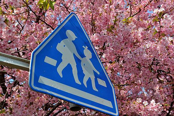 06DSC_4374.JPG 06DSC_4374.JPG