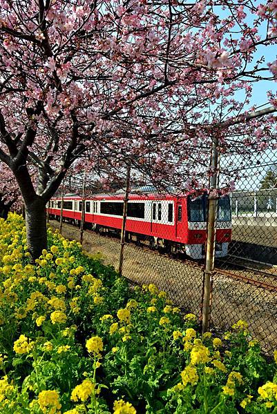 04DSC_4565.JPG 04DSC_4565.JPG