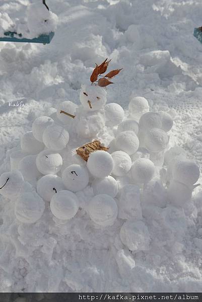 07 DSC_3347.JPG 07 DSC_3347.JPG