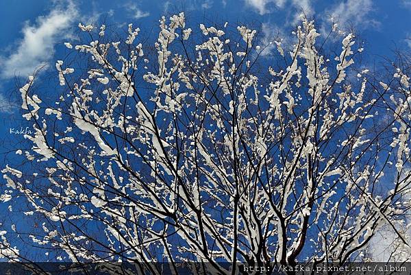 03_DSC_3352.JPG 03_DSC_3352.JPG