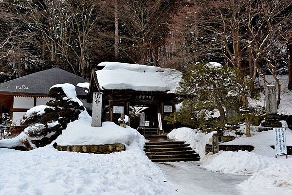 11DSC_3917.JPG 11DSC_3917.JPG