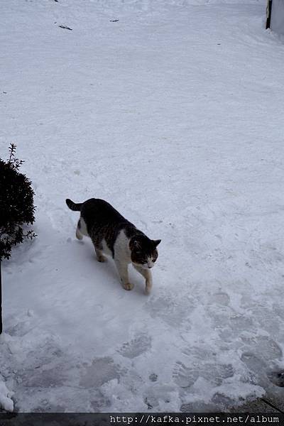 39DSC02238.JPG 39DSC02238.JPG