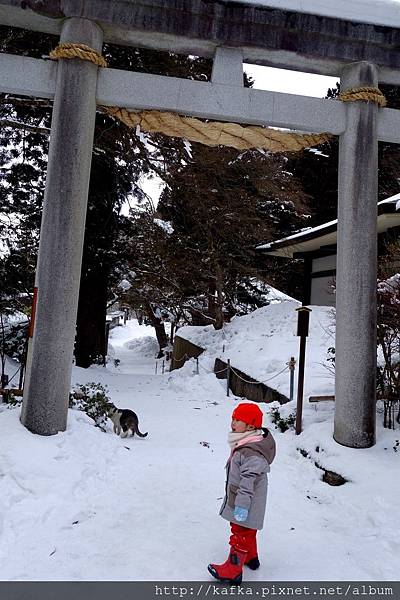 40DSC02248.JPG 40DSC02248.JPG