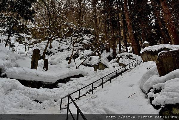 44DSC_3755.JPG 44DSC_3755.JPG