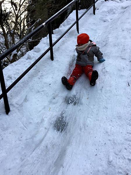 IMG_2259.JPG IMG_2259.JPG