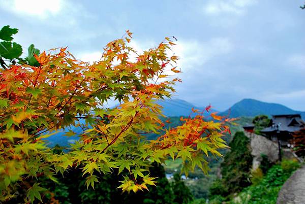 DSC_3573.JPG DSC_3573.JPG