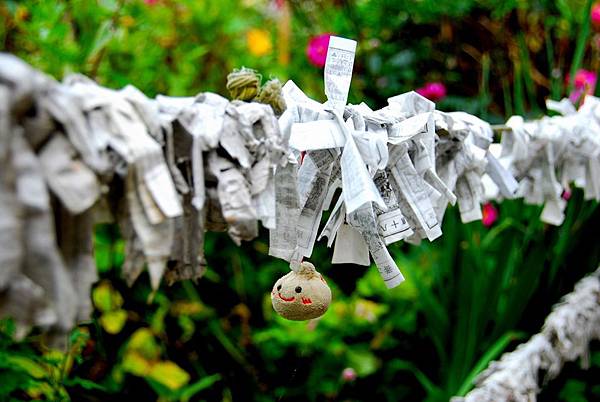 DSC_3557.JPG DSC_3557.JPG