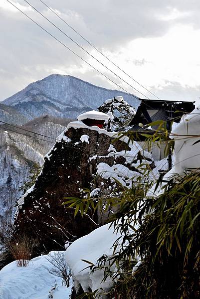 DSC_3785.JPG DSC_3785.JPG