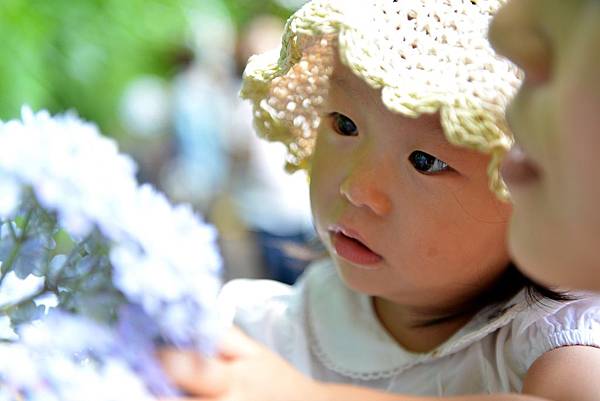 03DSC_6137.JPG 03DSC_6137.JPG