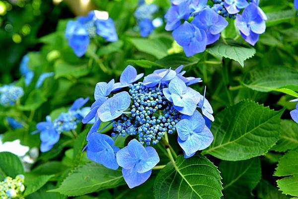 02DSC_6161.JPG 02DSC_6161.JPG