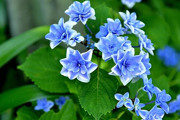 04DSC_6105.JPG 04DSC_6105.JPG