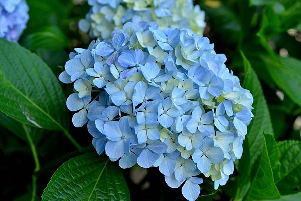 05DSC_6116.JPG 05DSC_6116.JPG