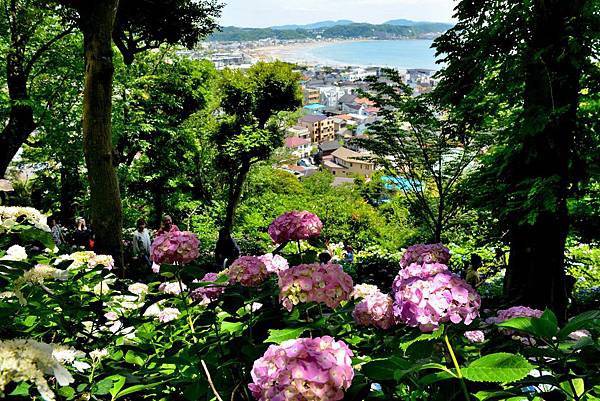 00DSC_6126.JPG 00DSC_6126.JPG