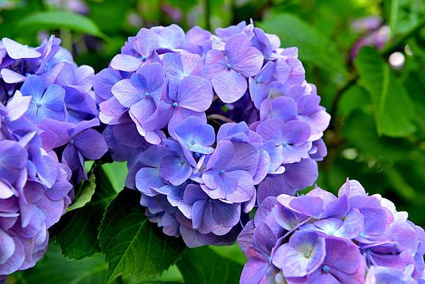 07DSC_6162.JPG 07DSC_6162.JPG