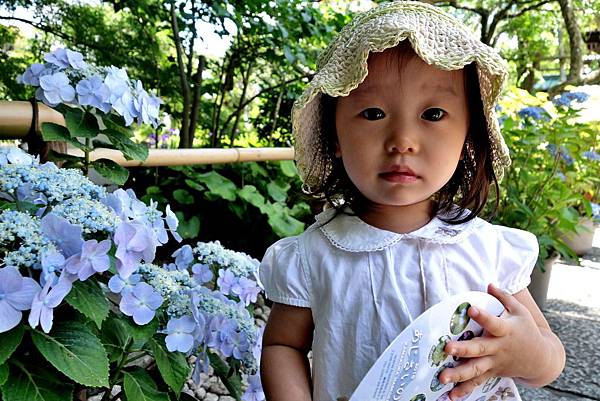 09DSC06924.JPG 09DSC06924.JPG