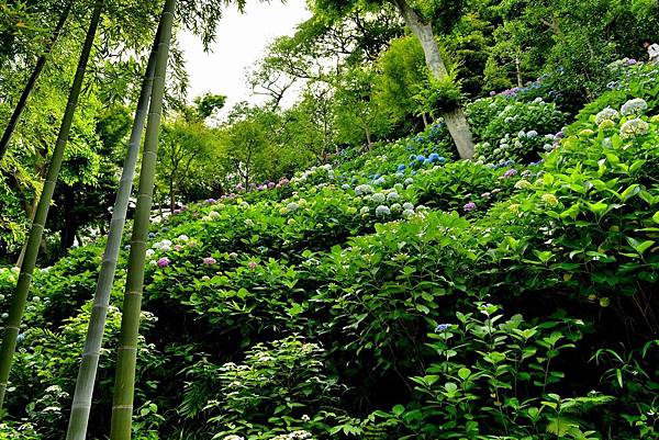 08DSC_6167.JPG 08DSC_6167.JPG