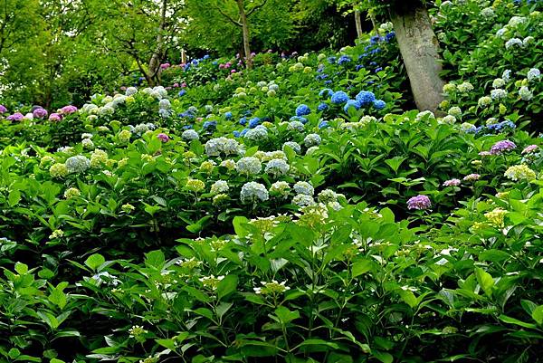 14DSC_6166.JPG 14DSC_6166.JPG