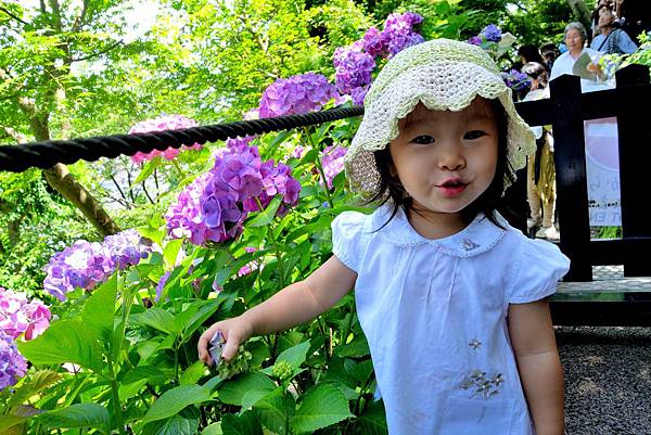 11DSC06977.JPG 11DSC06977.JPG