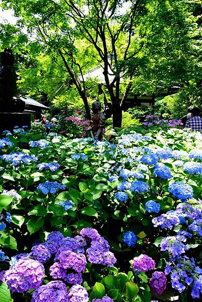 10DSC06957.JPG 10DSC06957.JPG