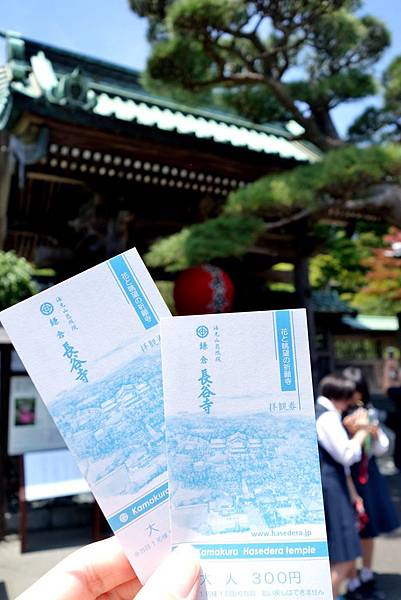 27DSC06910.JPG 27DSC06910.JPG