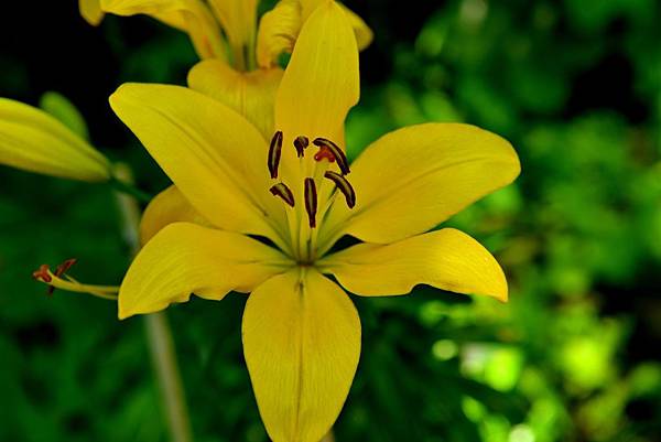 30DSC_6080.JPG 30DSC_6080.JPG