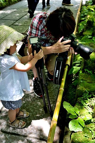 31DSC06943.JPG 31DSC06943.JPG