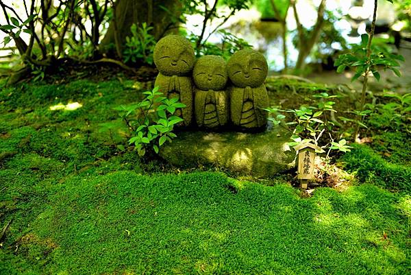 29DSC_6076.JPG 29DSC_6076.JPG