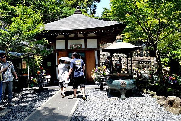 33DSC06951.JPG 33DSC06951.JPG