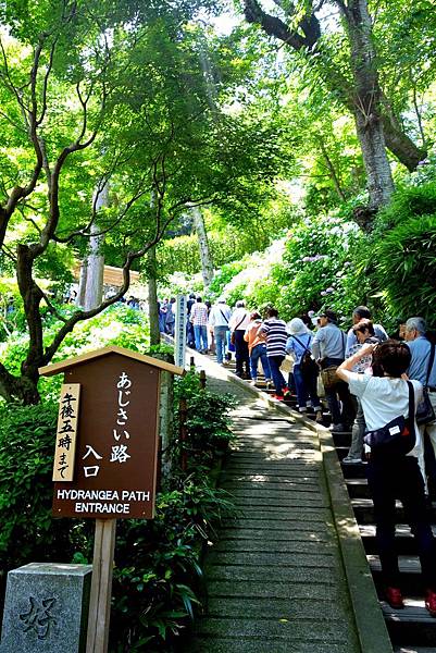 34DSC06961.JPG 34DSC06961.JPG