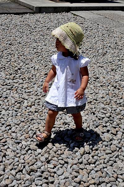 36DSC06954.JPG 36DSC06954.JPG