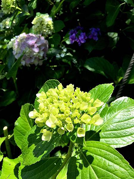 62IMG_8895.JPG 62IMG_8895.JPG