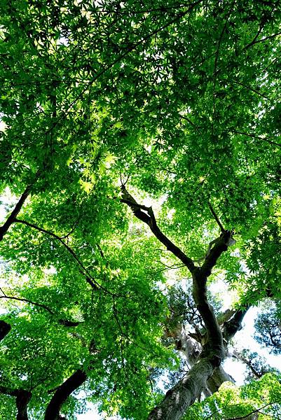 35DSC06947.JPG 35DSC06947.JPG