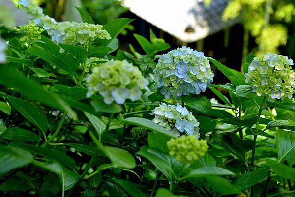 66DSC_6110.JPG 66DSC_6110.JPG