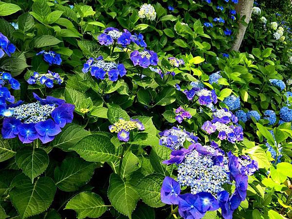 68IMG_2281.JPG 68IMG_2281.JPG