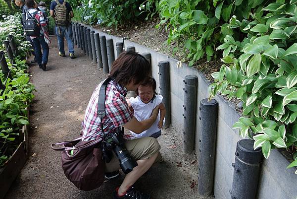 71DSC07006.JPG 71DSC07006.JPG