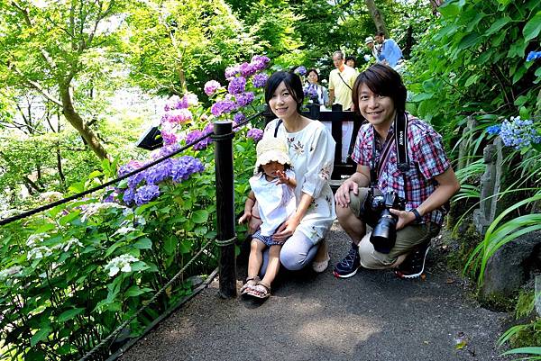 83DSC06981.JPG 83DSC06981.JPG