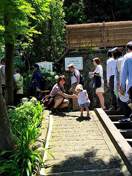 89IMG_8889.JPG 89IMG_8889.JPG