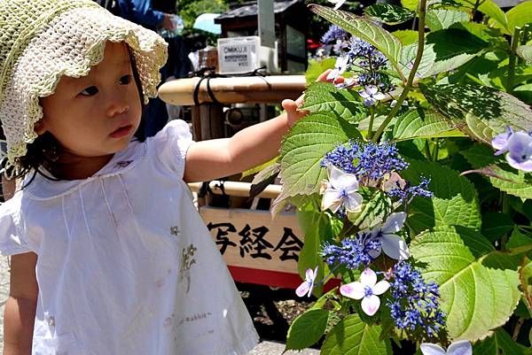 90DSC06917.JPG 90DSC06917.JPG