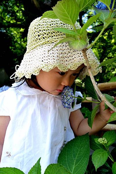 92DSC06923.JPG 92DSC06923.JPG