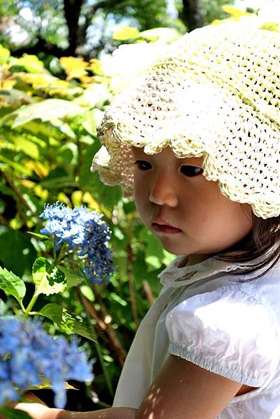 93DSC06937.JPG 93DSC06937.JPG