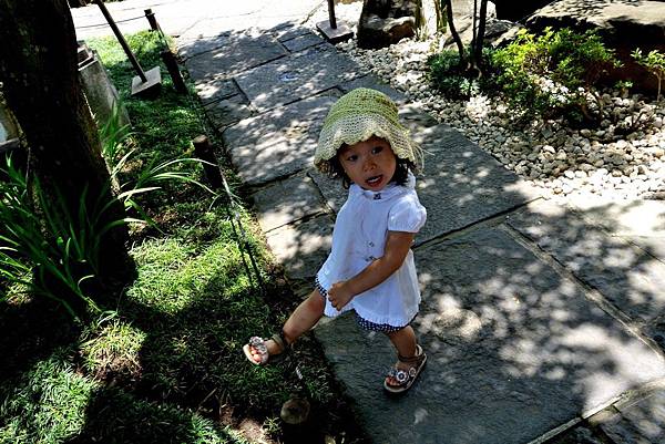 94DSC06959.JPG 94DSC06959.JPG