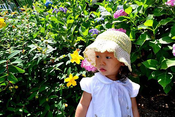 96DSC07022.JPG 96DSC07022.JPG