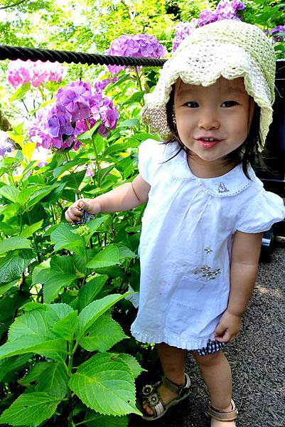 95DSC06978.JPG 95DSC06978.JPG