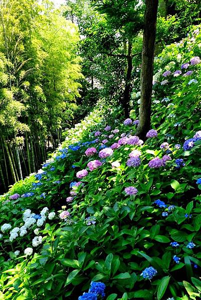 DSC06970.JPG DSC06970.JPG